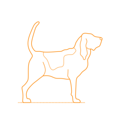 Animals Dogs Bloodhound Outline Svg Vector, Free Vectors File